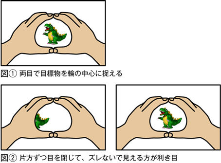 利き目 | まゆみカイロプラクティック